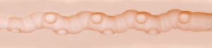 Bookworm Fleshlight Texture - Bookworm Fleshlight Sleeve