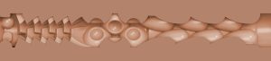 Autumn Falls Fleshlight - Peaches Fleshlight Sleeve - Peaches Fleshlight Texture