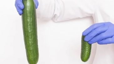 5 Ideas to Make Your Penis Bigger - Penis Enlargement