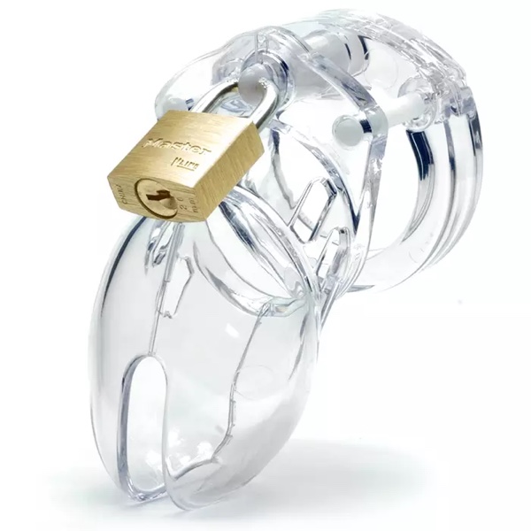 Top 5 Best Male Chastity Devices and Cock Cages - CB6000s