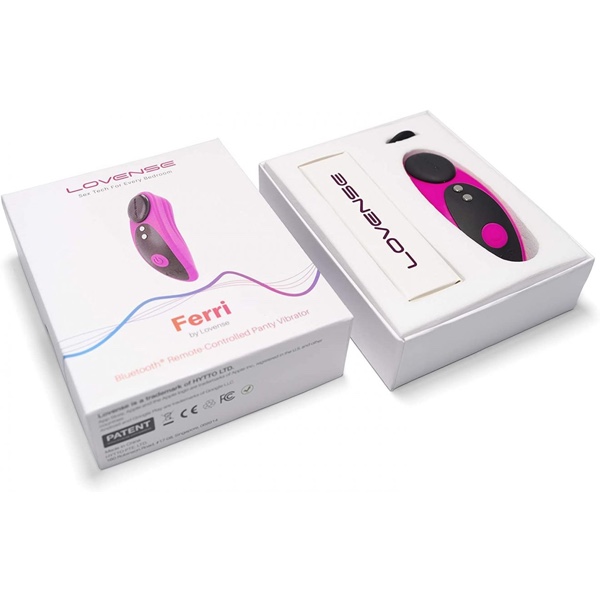 Top 5 Best Vibrating Panties With Remote Control - Lovense Ferri