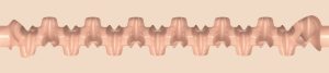 Oxytocin Fleshlight Texture - Oxytocin Fleshlight Template