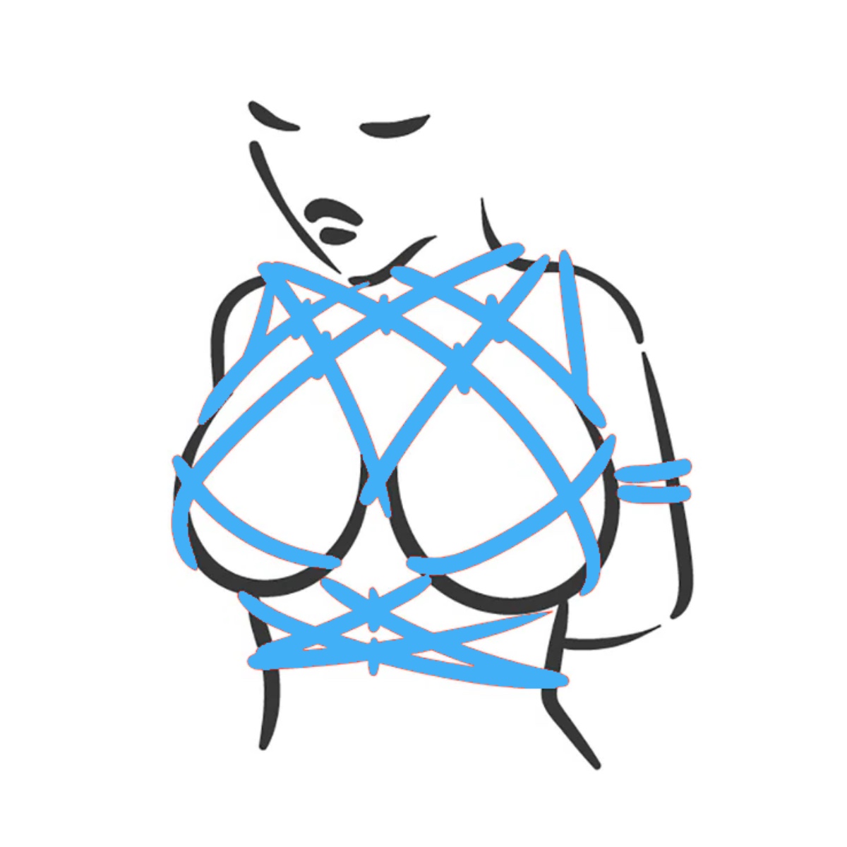 Box Tie - Breast Bondage