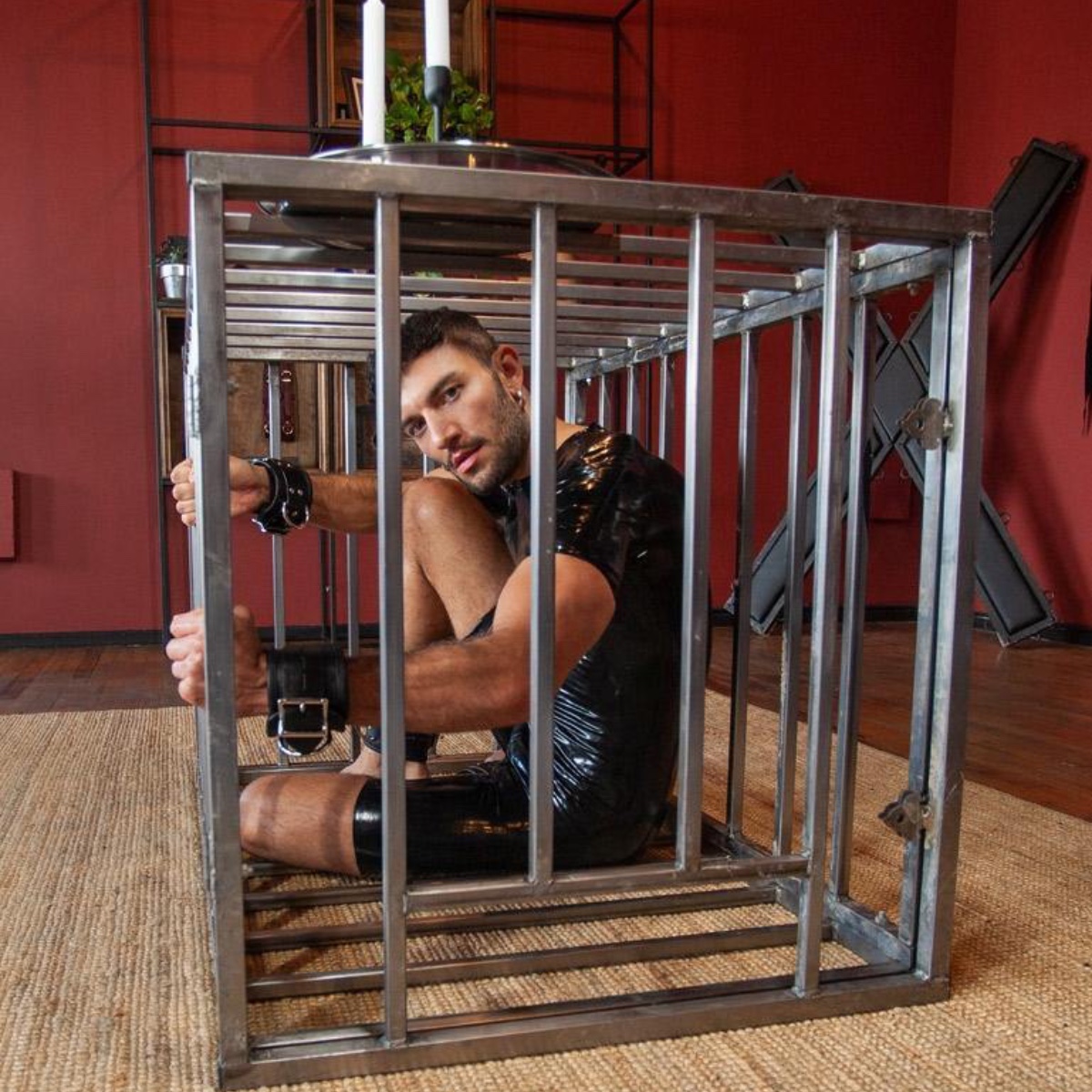 Deluxe BDSM Steel Puppy Cage Review