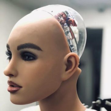 Real User Experiences with AI Sex Dolls