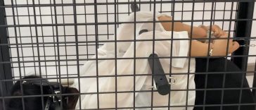 DIY BDSM Cage: Building Your Own at Home